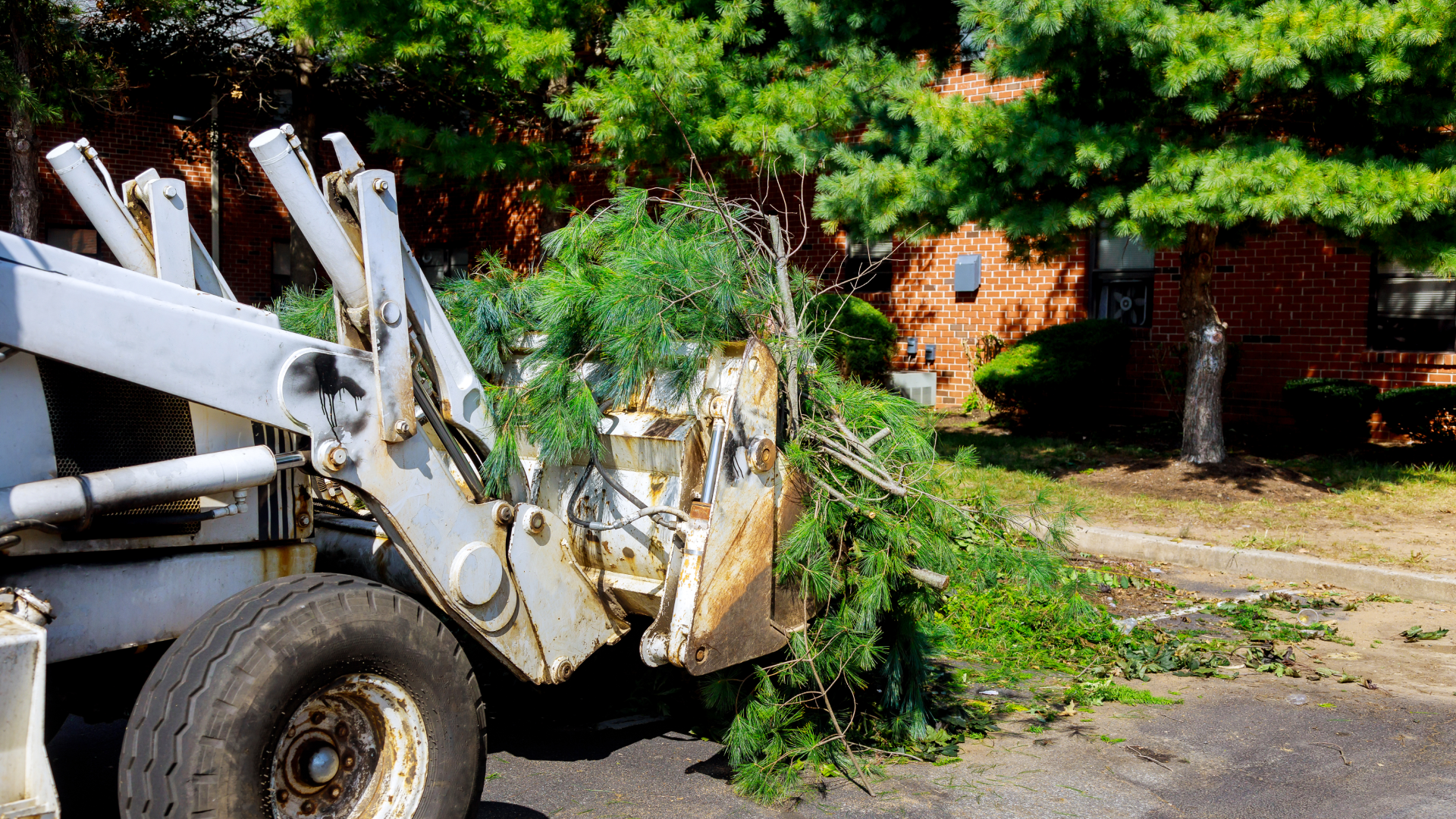 debris removal
