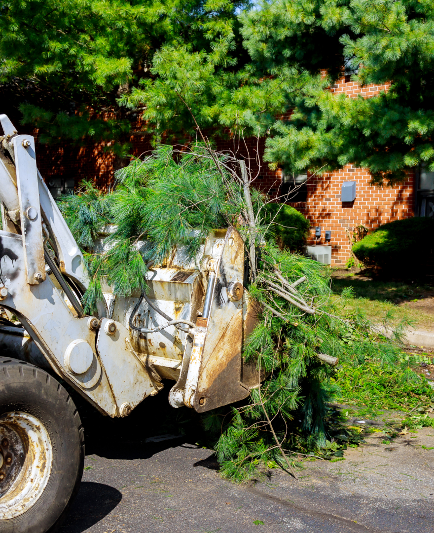 debris removal