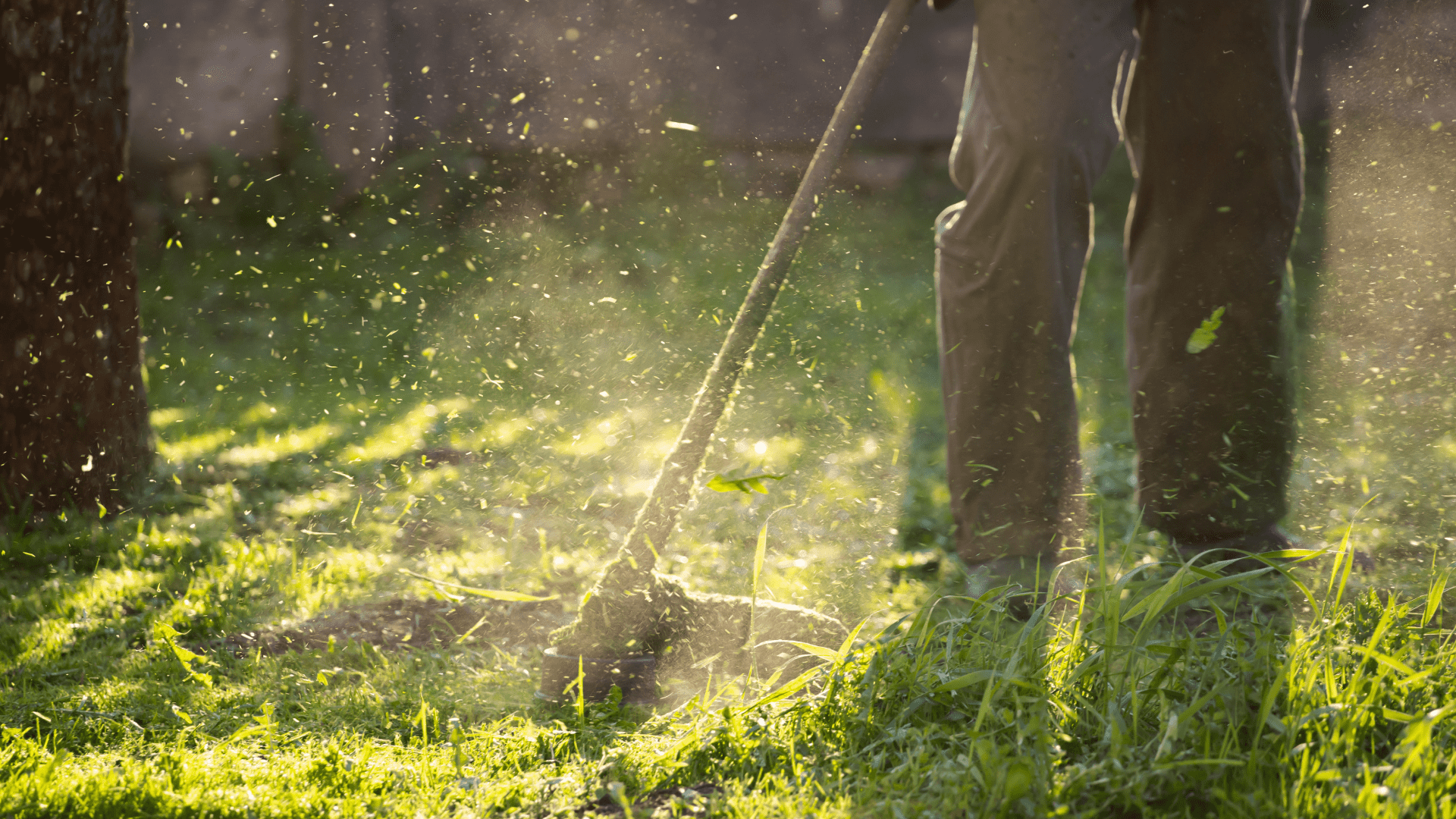 lawn maintenance